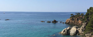 sophrologie montpellier gestion stress